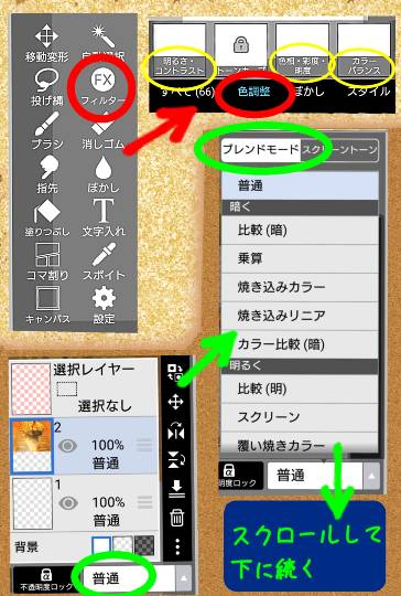 生き物ルーム第26