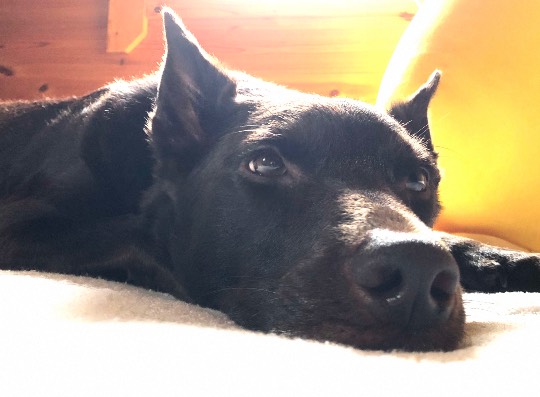 EGG'S CAFE 『雑談板5周年おめでとう』