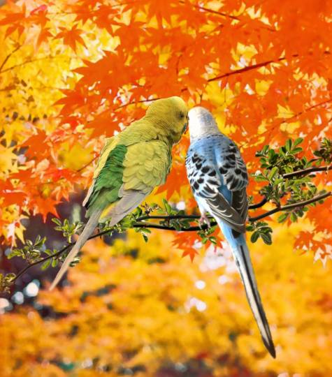 生き物ルーム第23