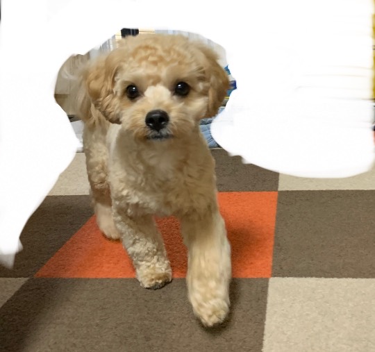 生き物ルーム第26