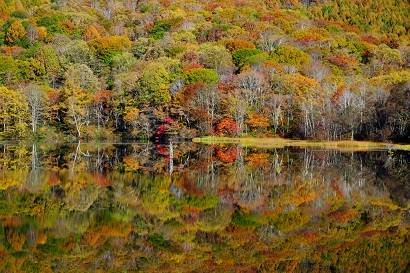 花鳥風月に心を込めて...　(エアー花トピ2)
