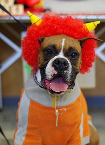 生き物ルーム第26