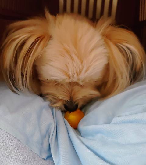 生き物ルーム第24