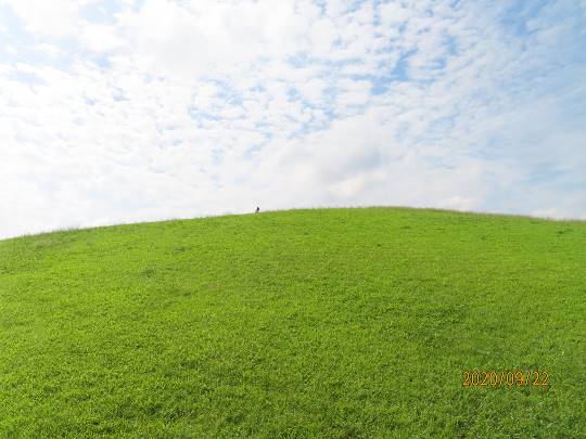 生き物ルーム第24