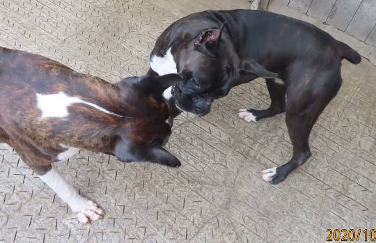 生き物ルーム第26