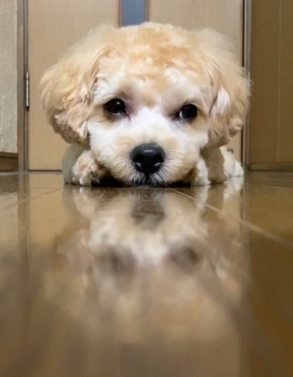 生き物ルーム第24