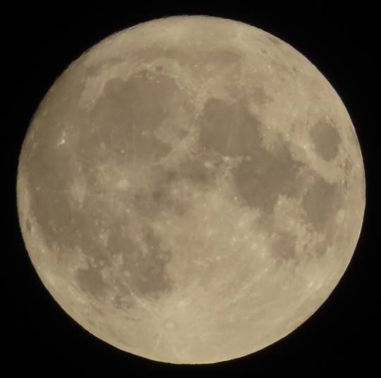 EGG'S CAFE 『雑談板5周年おめでとう』