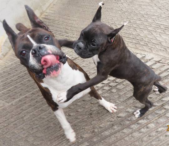 生き物ルーム第26