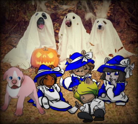 生き物ルーム第26