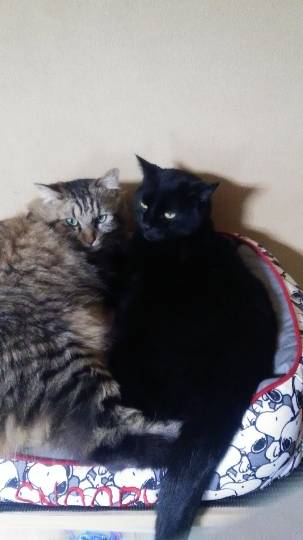 生き物ルーム第26