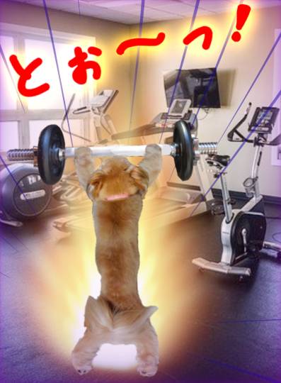 生き物ルーム第24