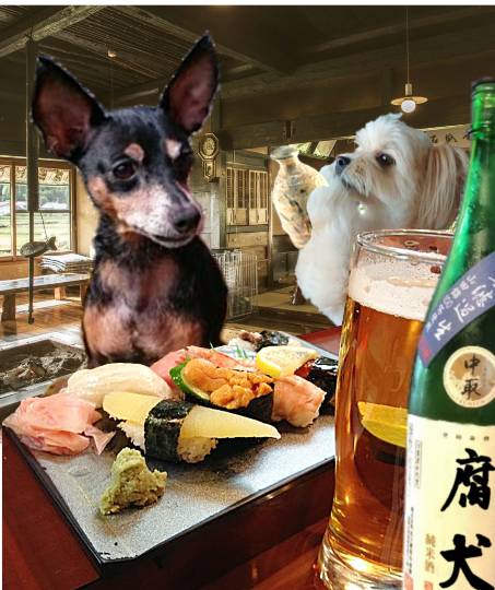 生き物ルーム第24