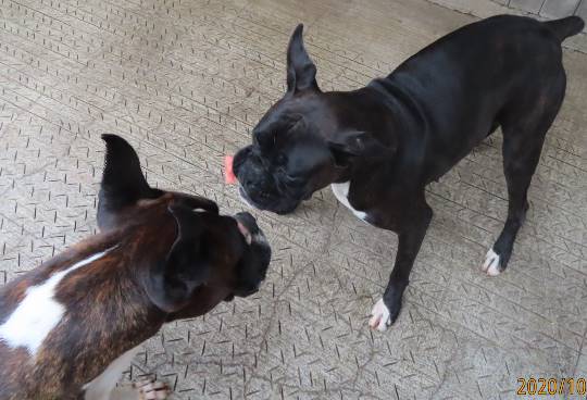 生き物ルーム第26