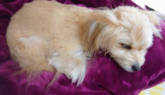 生き物ルーム28