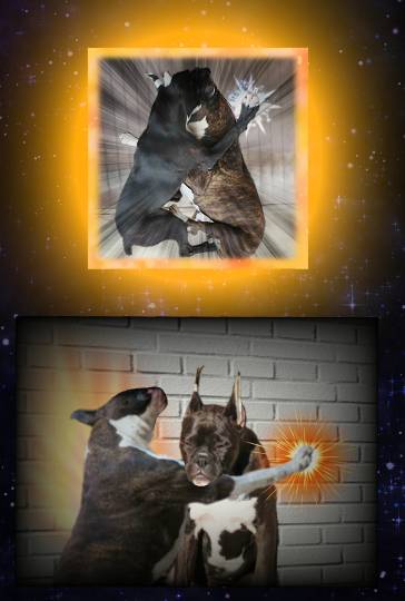 生き物ルーム第27