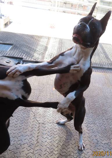 生き物ルーム第29