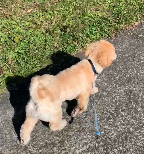 生き物ルーム28