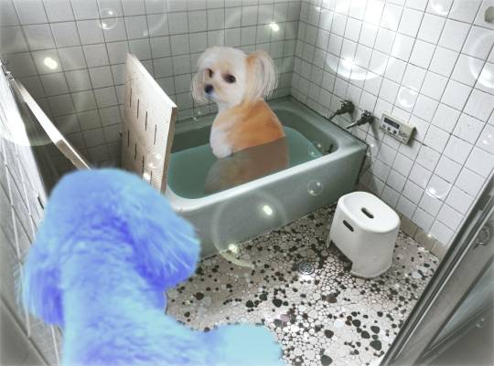 生き物ルーム28