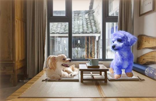 生き物ルーム28