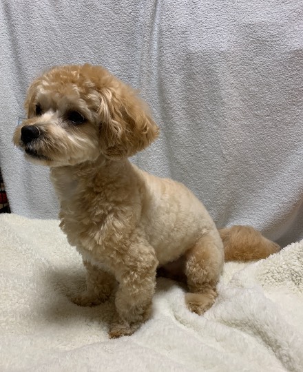 生き物ルーム第27