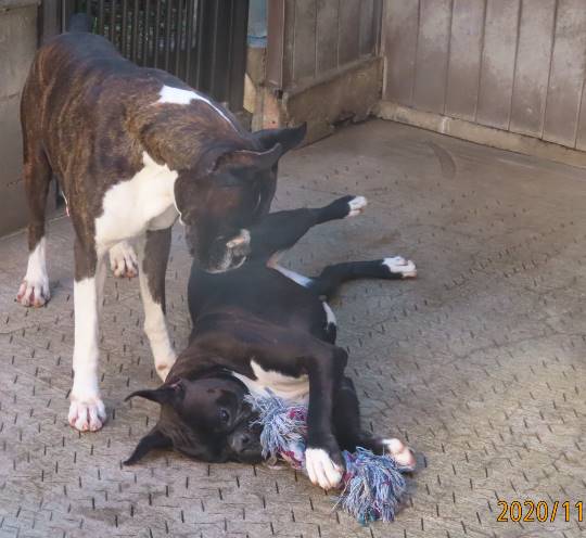 生き物ルーム第29