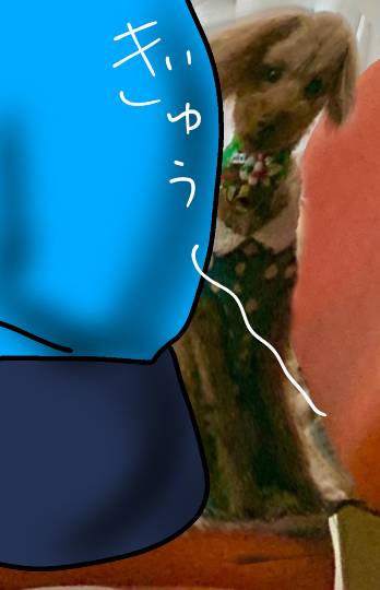 生き物ルーム第29