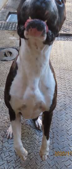 生き物ルーム第29