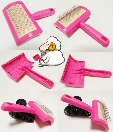 生き物ルーム28