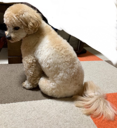 生き物ルーム第29