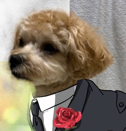 生き物ルーム第27