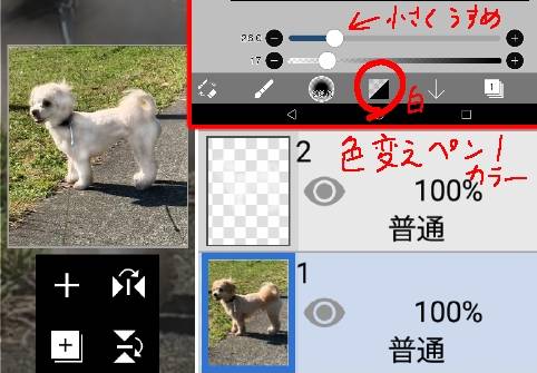 生き物ルーム28