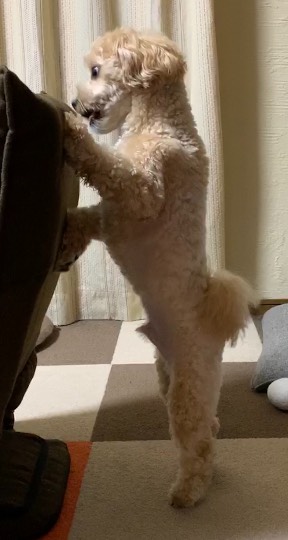 生き物ルーム第27