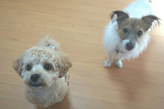 生き物ルーム第26