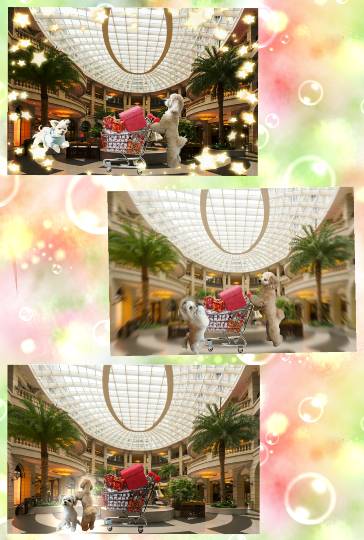 生き物ルーム28