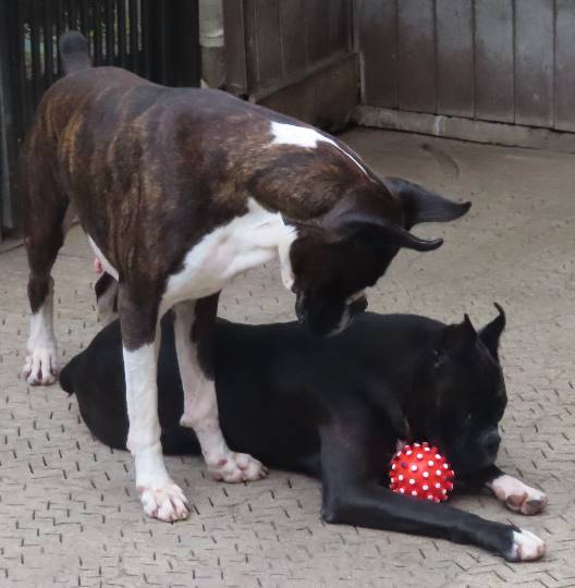 生き物ルーム28