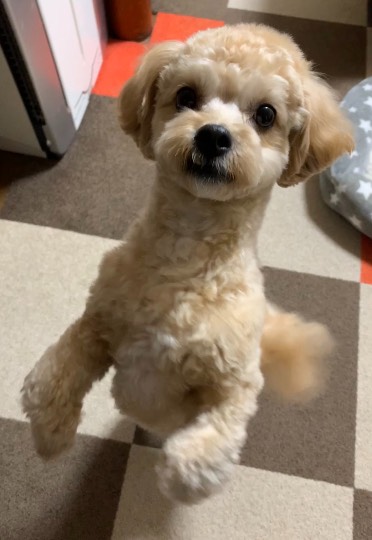 生き物ルーム28