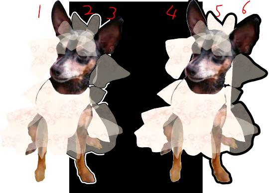 生き物ルーム第27