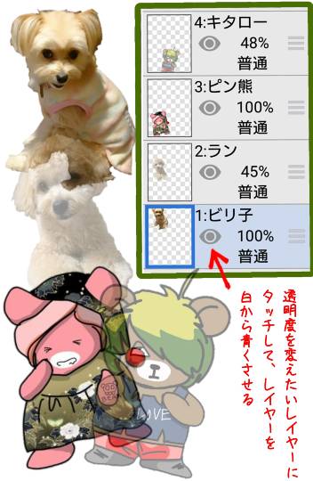 生き物ルーム第27