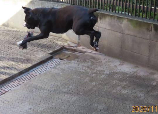 生き物ルーム第29