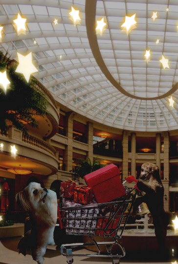 生き物ルーム28