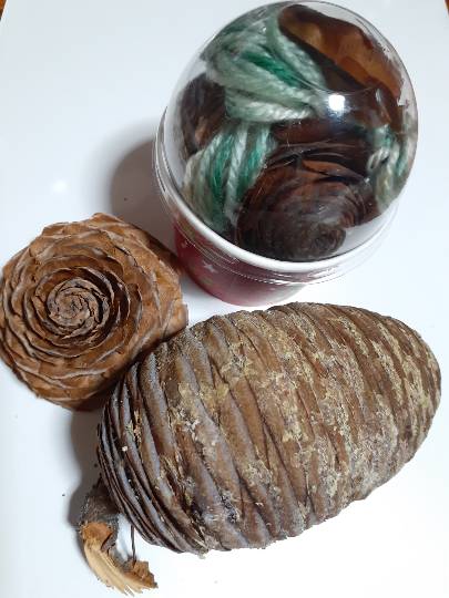 花鳥風月に心を込めて...　(エアー花トピ2)