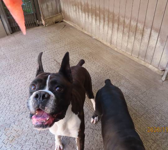 生き物ルーム第27