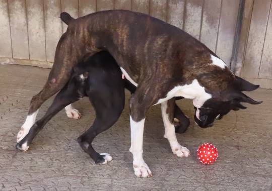 生き物ルーム第27