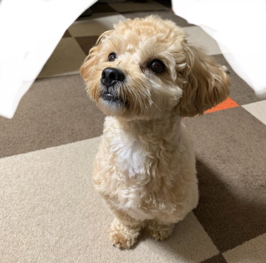 生き物ルーム第26