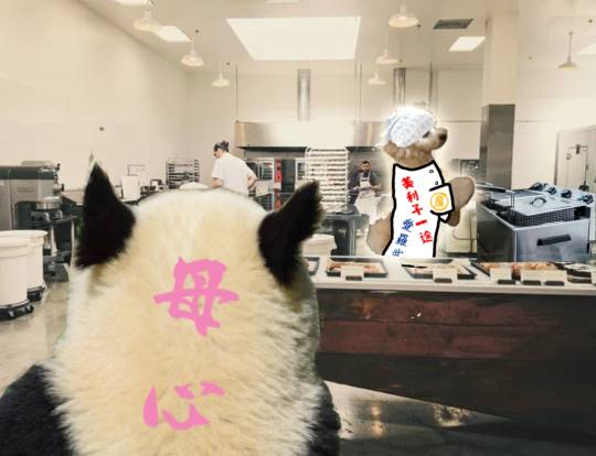 生き物ルーム第27