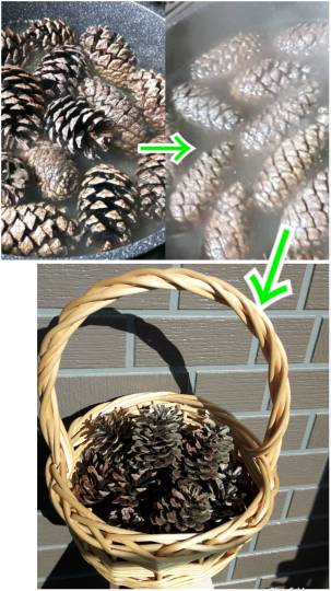 花鳥風月に心を込めて...　(エアー花トピ2)