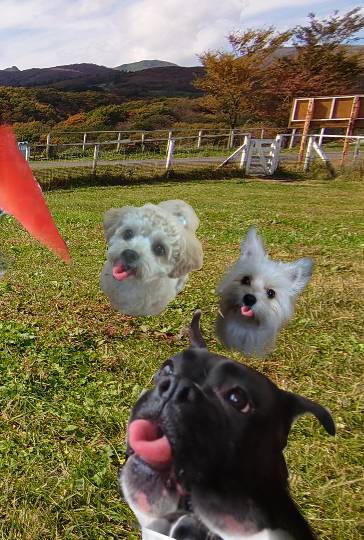 生き物ルーム第26