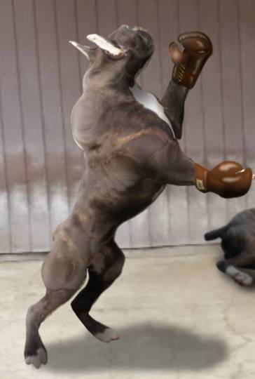 生き物ルーム第27