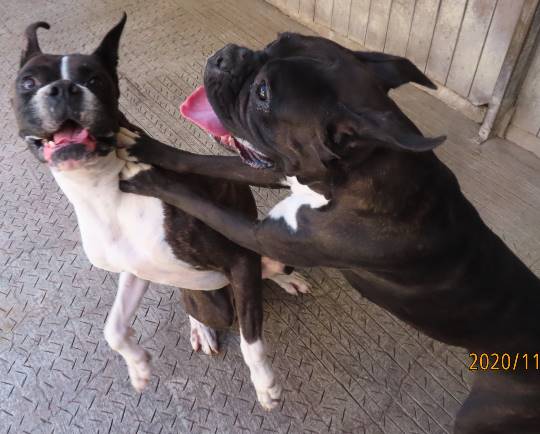 生き物ルーム28