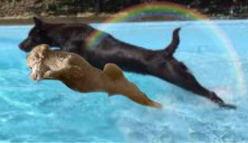 生き物ルーム第27